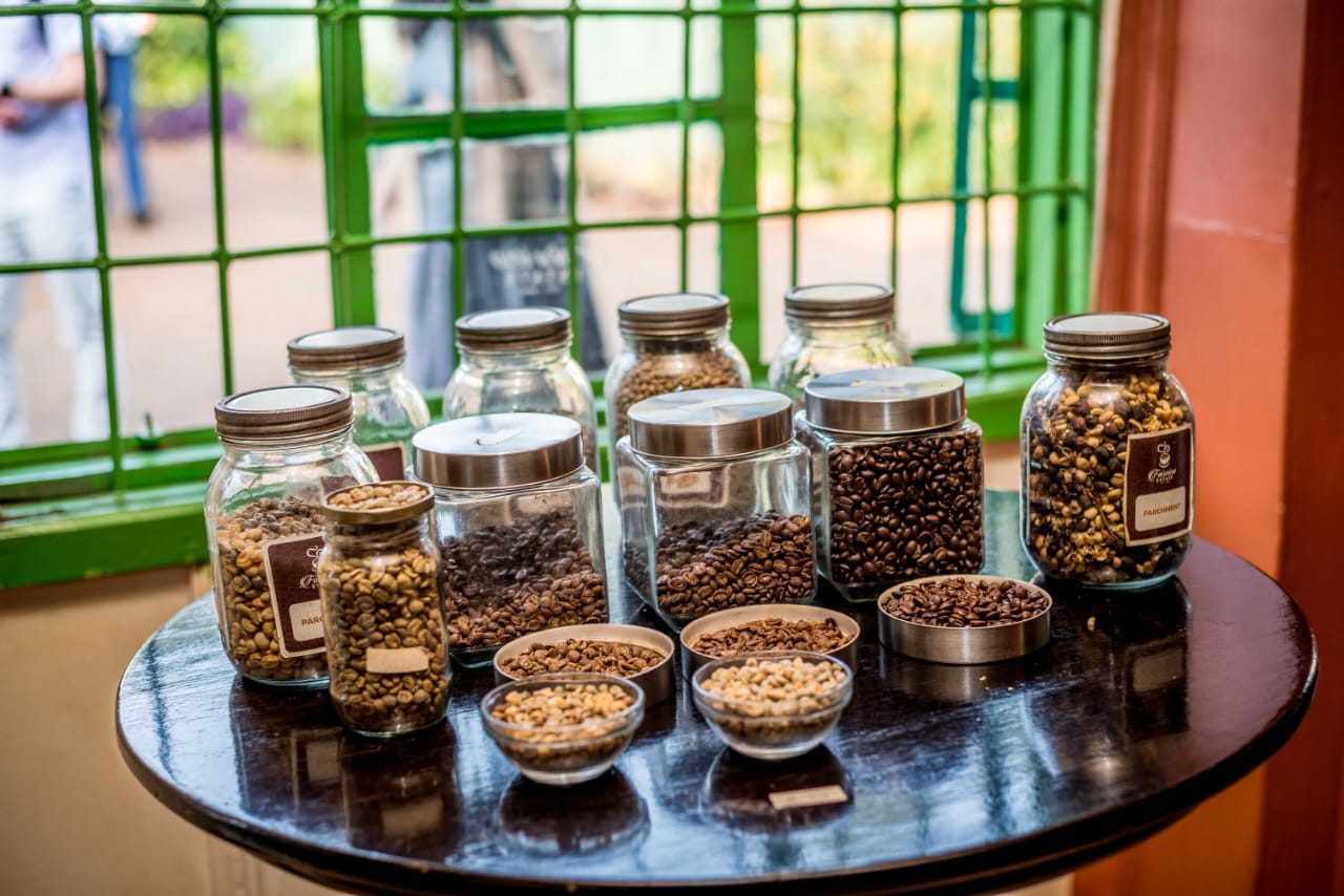 Fairview Coffee Tour